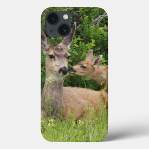 Funda Para iPhone 13 Cierva de mula con cervatillo
