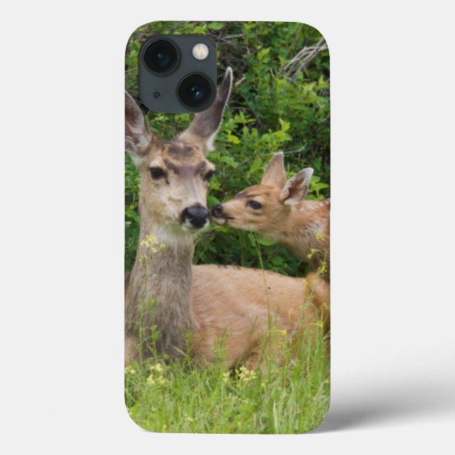 Funda De Case-Mate Para iPhone Cierva de mula con cervatillo (Reverso)
