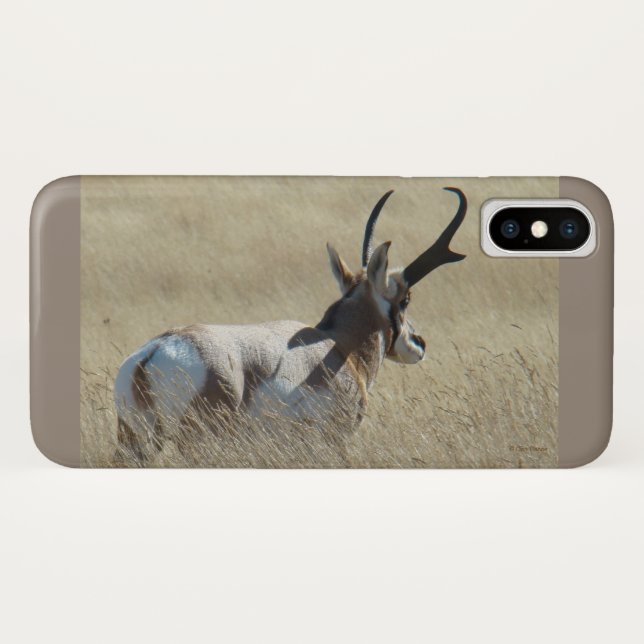 Funda De Case-Mate Para iPhone Ciervo Berrendo A14 Buck Sunshine (Reverso (horizontal))