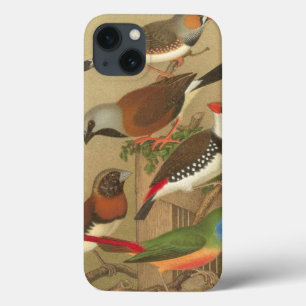Funda Para iPhone 13 Cinco coloridas aves Mascotas encaramadas en una r