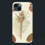 Funda Para iPhone 13 Cinco de una especie de conchas marinas<br><div class="desc">George Wolfgang Knorr es conocido por el delicado detalle y precisión de sus ilustraciones de conchas y conchas. Sus dibujos estaban influidos por su propio interés en la ciencia, un tema popular de su época. Esta singular obra de arte de Knorr realmente hace un gran trabajo capturando los diferentes tipos...</div>
