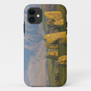 Funda Para iPhone 11 Círculo de piedras de Castlerigg, Distrito de los