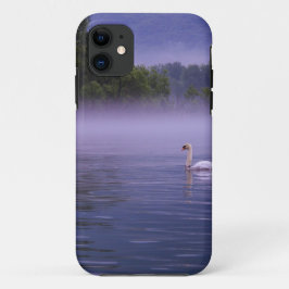 title_seo2 Cisne en lago
