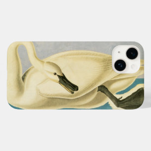 title_seo2 Cisne Trompetero por John James Audubon, Ave Vinta