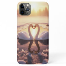 Cisnes al amanecer - hermosos y encantadores
