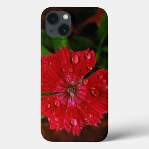 Funda Para iPhone 13 Clavel rojo con gotas de lluvia