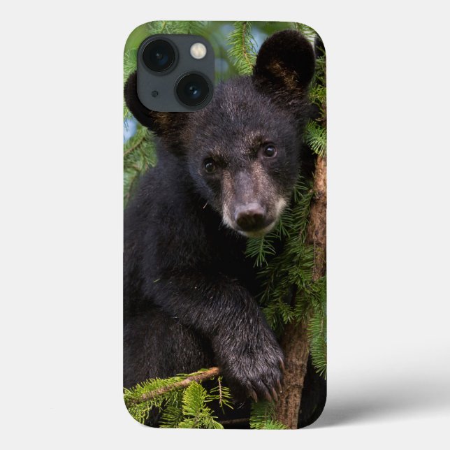 Funda De Case-Mate Para iPhone Club de oso negro jugando en árboles (Reverso)
