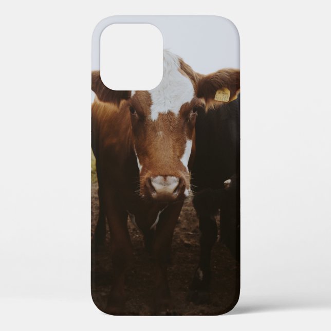 FUNDA DE Case-Mate PARA iPhone COBERTURA DE VACAS (Reverso )