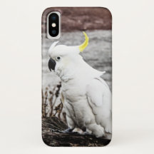 Cockatoo Azufre-Con cresta