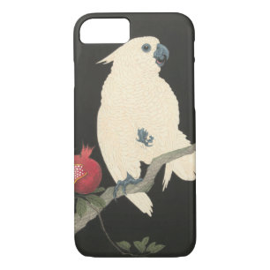 title_seo2 Cockatoo blanco japonés del Bello Artes el   del