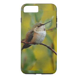 title_seo2 coco verde Hummingbird fondo amarillo