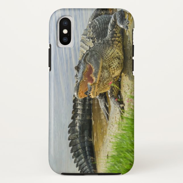 Funda De Case-Mate Para iPhone Cocodrilo americano (Reverso)