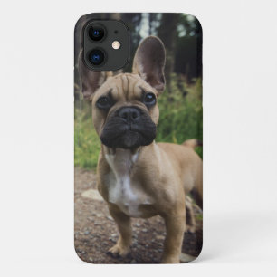 Funda Para iPhone 11 Cojín decorativo Bulldog francés