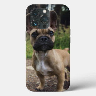 Funda Para iPhone 13 Pro Cojín decorativo Bulldog francés