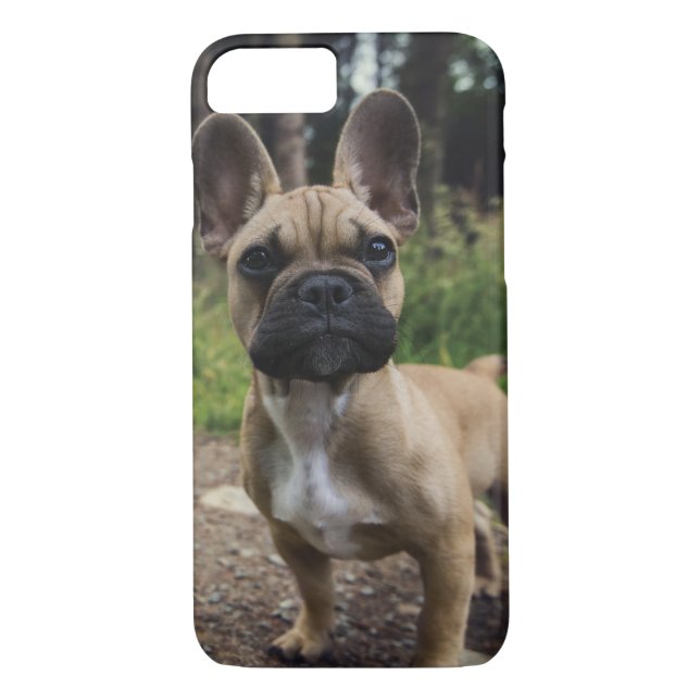 Funda De Case-Mate Para iPhone Cojín decorativo Bulldog francés (Reverso)