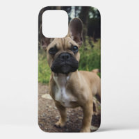 Cojín decorativo Bulldog francés