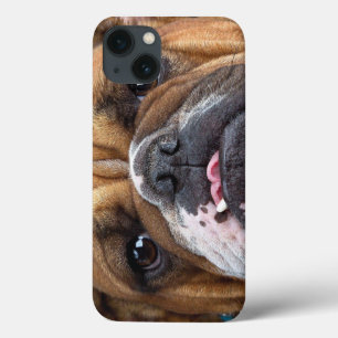 Funda Para iPhone 13 Cojín decorativo de Bulldog inglés
