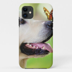 Funda Para iPhone 11 Cojín decorativo De Labrador Y Mariposa