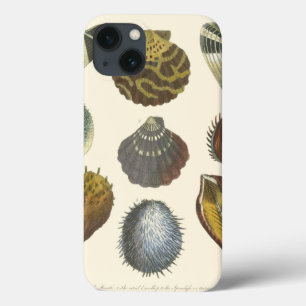 Funda Para iPhone 13 Colección Conchology