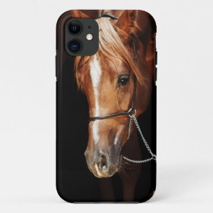 Funda Para iPhone 11 colección de caballos. cubierta roja arabia para i