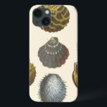 title_seo2 Colección de Conchología<br><div class="desc">Si no puedes ir a la playa hoy, ten en cuenta esta imagen clásica de la vida marina de Albertus Seba. Imagínate en una playa descubriendo anémonas del mar que la naturaleza tiene para ofrecer. Estas conchas y las plantas del mar junto al océano están rodeadas de arena cálida en...</div>