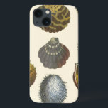 title_seo2 Colección de Conchología<br><div class="desc">Si no puedes ir a la playa hoy, ten en cuenta esta imagen clásica de la vida marina de Albertus Seba. Imagínate en una playa descubriendo anémonas del mar que la naturaleza tiene para ofrecer. Estas conchas y las plantas del mar junto al océano están rodeadas de arena cálida en...</div>