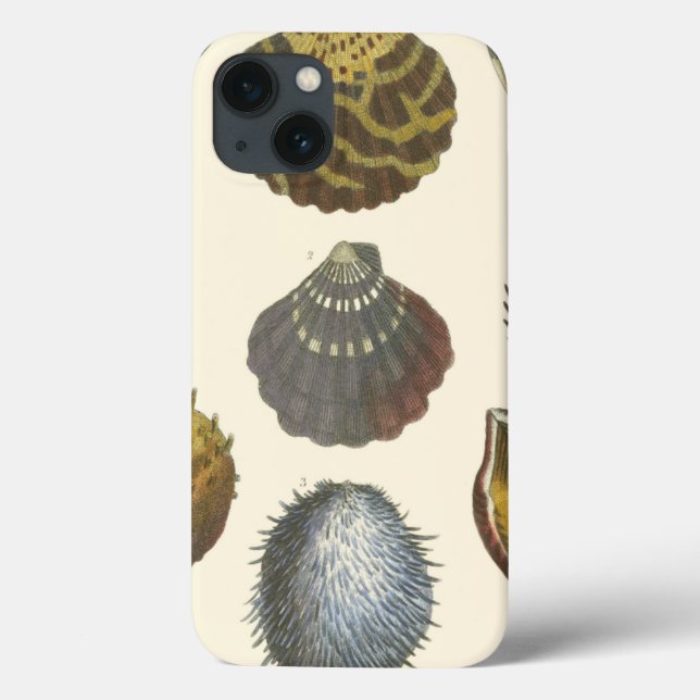 Funda De Case-Mate Para iPhone Colección de Conchología (Reverso)