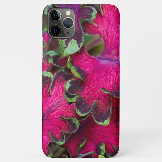 Funda De Case-Mate Para iPhone Coleus Macro (Reverso)