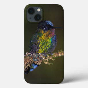 Funda Para iPhone 13 Colibrí