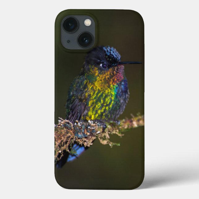 Funda De Case-Mate Para iPhone Colibrí (Reverso)
