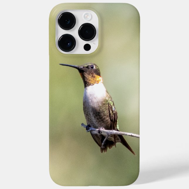 Funda De Case-Mate Para iPhone Colibrí de Garganta Rubí  (Reverso)