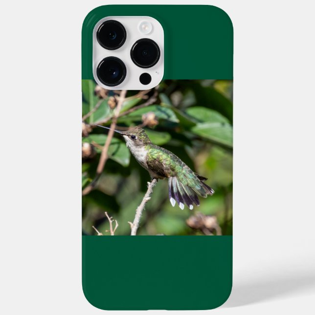 Funda De Case-Mate Para iPhone Colibrí de Garganta Rubí  (Reverso)