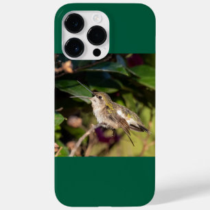 Funda Para iPhone 14 Pro Max De Case-Mate Colibrí de Garganta Rubí