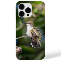 Colibrí de Garganta Rubí