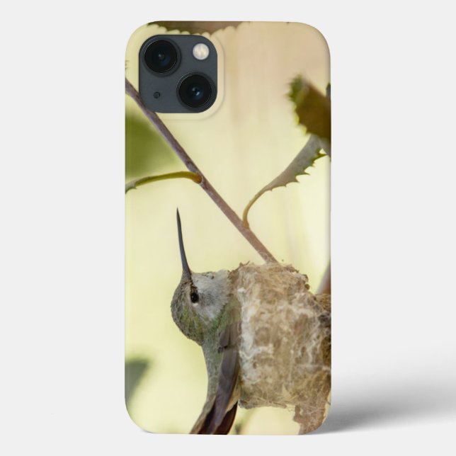 Funda De Case-Mate Para iPhone Colibrí femenino en su jerarquía (Reverso)