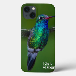 Funda Para iPhone 13 Colibrí flotante