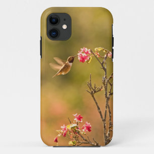 Funda Para iPhone 11 Colibrí y flores rosadas