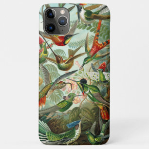 Funda Para iPhone 11 Pro Max Colibríes impresionantes y vibrantes de Ernst Haec