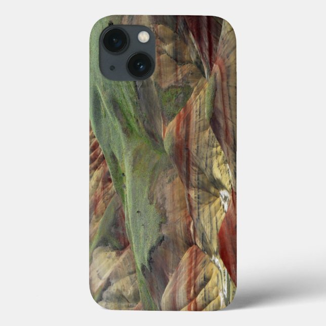 Funda De Case-Mate Para iPhone Colinas pintadas, Camas fósiles John Day, Mitchell (Reverso)
