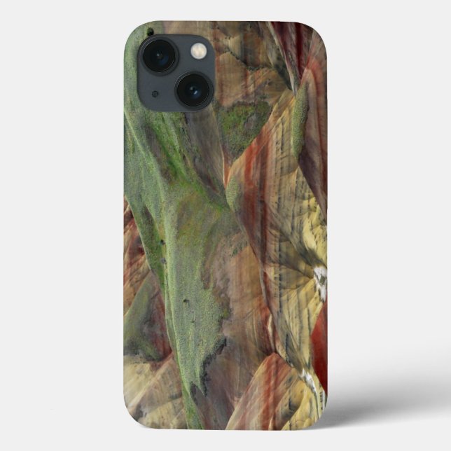 Funda De Case-Mate Para iPhone Colinas pintadas, Camas fósiles John Day, Mitchell (Reverso)