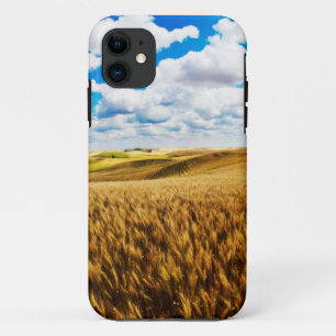 title_seo2 Colinas rocosas de trigo maduro