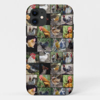 Collage de fotos De Pollos Y Gallos,