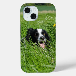 Funda Para iPhone 15 Collie blanca y negra en la hierba