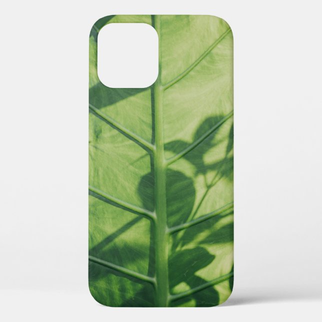 Funda De Case-Mate Para iPhone Colocasia esculenta leaf (Reverso )