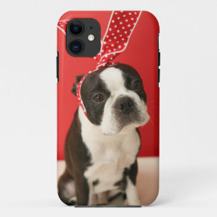Funda Para iPhone 11 Cologalita Ⅰ