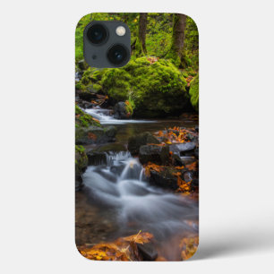 Funda Para iPhone 13 Color de otoño a lo largo de las cataratas Starva