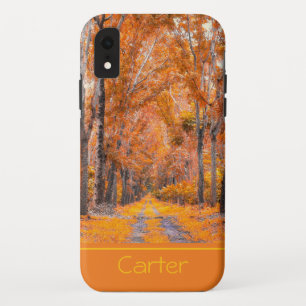 Funda Para iPhone XR Colores de caída personalizados
