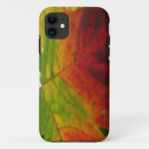Funda Para iPhone 11 Colores de la hoja de arce Fotografía de la natura