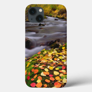 Funda Para iPhone 13 Colores de otoño a lo largo de McGee Creek