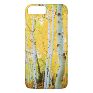 title_seo2 Colores de otoño de árboles de Aspen 1
